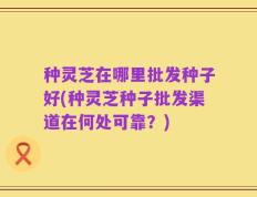 种灵芝在哪里批发种子好(种灵芝种子批发渠道在何处可靠？)