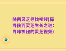 陕西灵芝寻找视频(探寻陕西灵芝生长之谜：寻味神秘的灵芝视频)