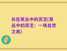 长在草丛中的灵芝(草丛中的灵芝：一场自然之美)