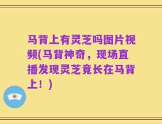马背上有灵芝吗图片视频(马背神奇，现场直播发现灵芝竟长在马背上！)