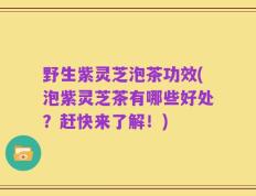 野生紫灵芝泡茶功效(泡紫灵芝茶有哪些好处？赶快来了解！)