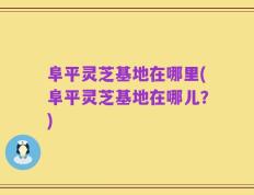 阜平灵芝基地在哪里(阜平灵芝基地在哪儿？)