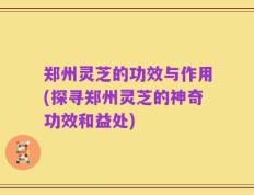 郑州灵芝的功效与作用(探寻郑州灵芝的神奇功效和益处)