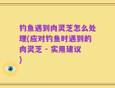 钓鱼遇到肉灵芝怎么处理(应对钓鱼时遇到的肉灵芝 - 实用建议)