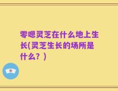 零嗯灵芝在什么地上生长(灵芝生长的场所是什么？)