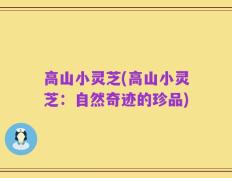 高山小灵芝(高山小灵芝：自然奇迹的珍品)