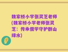 魏家桥小学张灵芝老师(魏家桥小学老师张灵芝：传承儒学守护群山绿水)