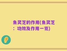 鱼灵芝的作用(鱼灵芝：功效及作用一览)