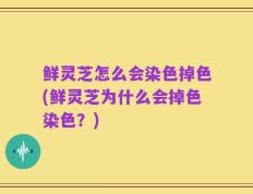 鲜灵芝怎么会染色掉色(鲜灵芝为什么会掉色染色？)
