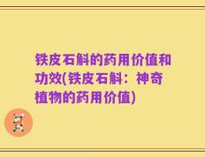 铁皮石斛的药用价值和功效(铁皮石斛：神奇植物的药用价值)
