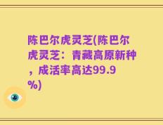陈巴尔虎灵芝(陈巴尔虎灵芝：青藏高原新种，成活率高达99.9%)