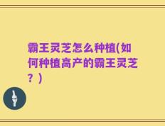 霸王灵芝怎么种植(如何种植高产的霸王灵芝？)