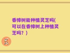香樟树能种植灵芝吗(可以在香樟树上种植灵芝吗？)