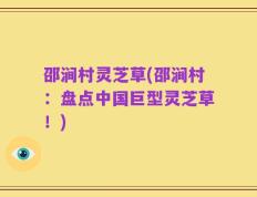 邵涧村灵芝草(邵涧村：盘点中国巨型灵芝草！)
