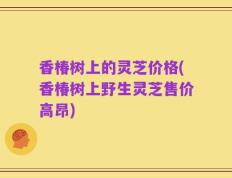 香椿树上的灵芝价格(香椿树上野生灵芝售价高昂)