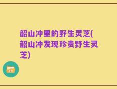 韶山冲里的野生灵芝(韶山冲发现珍贵野生灵芝)