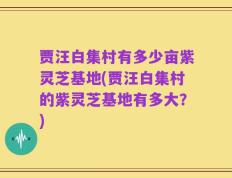 贾汪白集村有多少亩紫灵芝基地(贾汪白集村的紫灵芝基地有多大？)