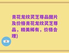 青花龙纹灵芝尊品图片及价格青花龙纹灵芝尊品，精美稀有，价格合理)