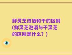 鲜灵芝泡酒和干的区别(鲜灵芝泡酒与干灵芝的区别是什么？)
