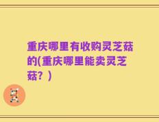 重庆哪里有收购灵芝菇的(重庆哪里能卖灵芝菇？)