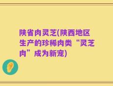 陕省肉灵芝(陕西地区生产的珍稀肉类“灵芝肉”成为新宠)