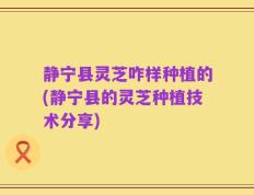静宁县灵芝咋样种植的(静宁县的灵芝种植技术分享)