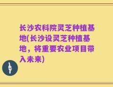 长沙农科院灵芝种植基地(长沙设灵芝种植基地，将重要农业项目带入未来)