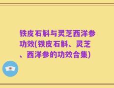 铁皮石斛与灵芝西洋参功效(铁皮石斛、灵芝、西洋参的功效合集)