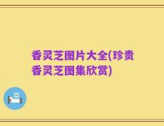 香灵芝图片大全(珍贵香灵芝图集欣赏)