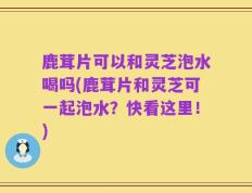 鹿茸片可以和灵芝泡水喝吗(鹿茸片和灵芝可一起泡水？快看这里！)