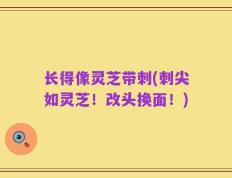 长得像灵芝带刺(刺尖如灵芝！改头换面！)