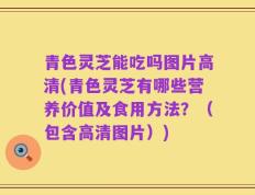 青色灵芝能吃吗图片高清(青色灵芝有哪些营养价值及食用方法？（包含高清图片）)