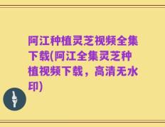 阿江种植灵芝视频全集下载(阿江全集灵芝种植视频下载，高清无水印)