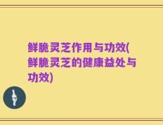鲜脆灵芝作用与功效(鲜脆灵芝的健康益处与功效)