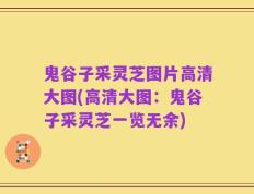 鬼谷子采灵芝图片高清大图(高清大图：鬼谷子采灵芝一览无余)