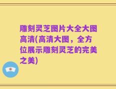 雕刻灵芝图片大全大图高清(高清大图，全方位展示雕刻灵芝的完美之美)