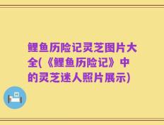 鲤鱼历险记灵芝图片大全(《鲤鱼历险记》中的灵芝迷人照片展示)