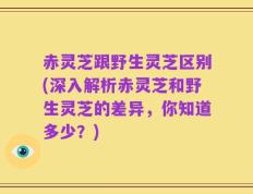 赤灵芝跟野生灵芝区别(深入解析赤灵芝和野生灵芝的差异，你知道多少？)
