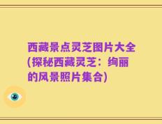 西藏景点灵芝图片大全(探秘西藏灵芝：绚丽的风景照片集合)