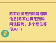 陈家庄灵芝团购网招聘信息(陈家庄灵芝团购网现招聘，多个职位等你来！)