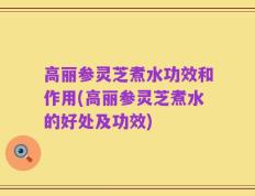 高丽参灵芝煮水功效和作用(高丽参灵芝煮水的好处及功效)