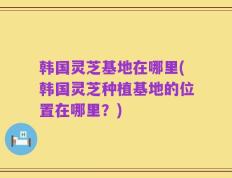 韩国灵芝基地在哪里(韩国灵芝种植基地的位置在哪里？)