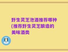 野生灵芝泡酒推荐哪种(推荐野生灵芝酿造的美味酒类