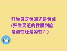 野生灵芝性温还是性凉(野生灵芝的性质到底是温性还是凉性？)