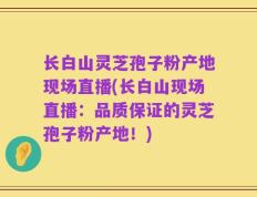 长白山灵芝孢子粉产地现场直播(长白山现场直播：品质保证的灵芝孢子粉产地！)