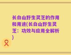 长白山野生灵芝的作用和用途(长白山野生灵芝：功效与应用全解析)