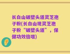 长白山破壁头道灵芝孢子粉(长白山现灵芝孢子粉“破壁头道”，保健功效倍增)