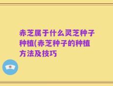 赤芝属于什么灵芝种子种植(赤芝种子的种植方法及技巧