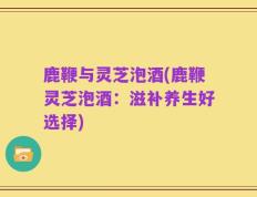 鹿鞭与灵芝泡酒(鹿鞭灵芝泡酒：滋补养生好选择)