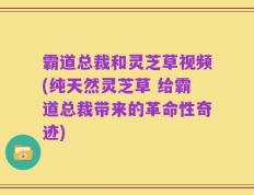 霸道总裁和灵芝草视频(纯天然灵芝草 给霸道总裁带来的革命性奇迹)